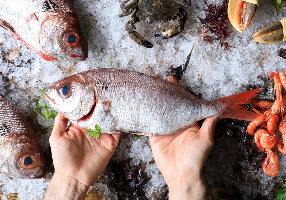 料理へのこだわり